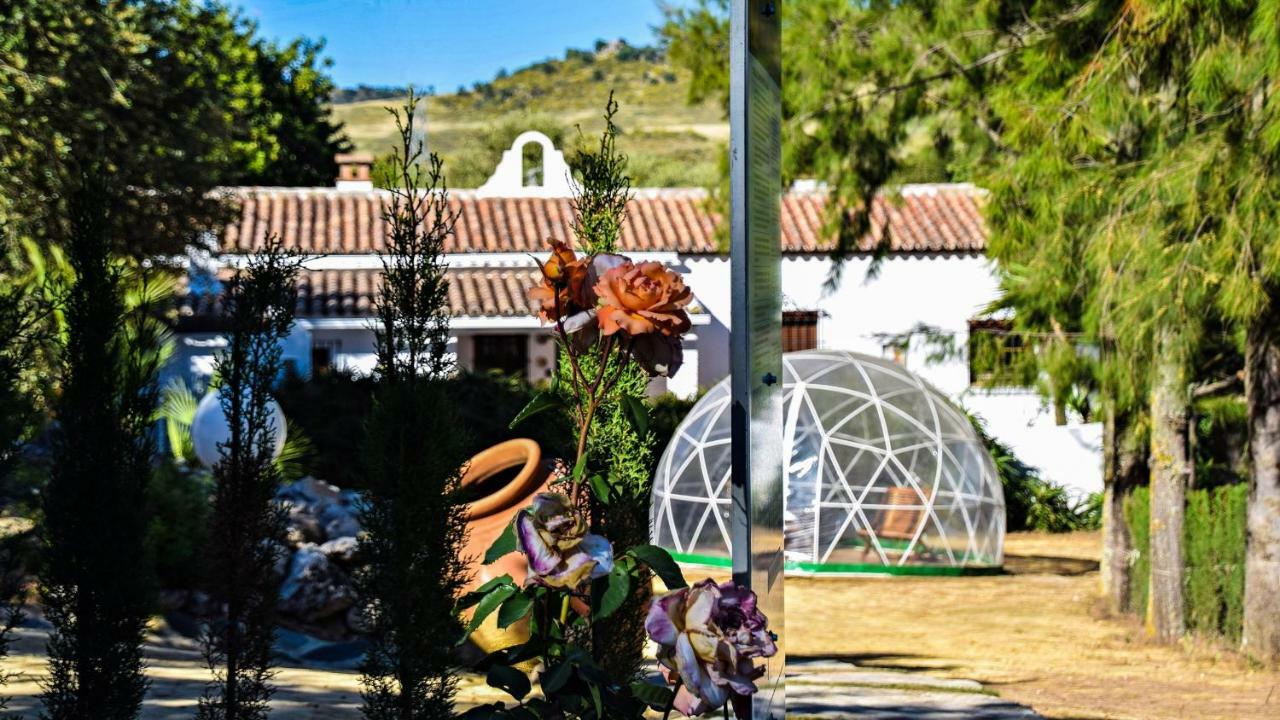 Casas Rurales Los Algarrobales El Gastor Exterior foto