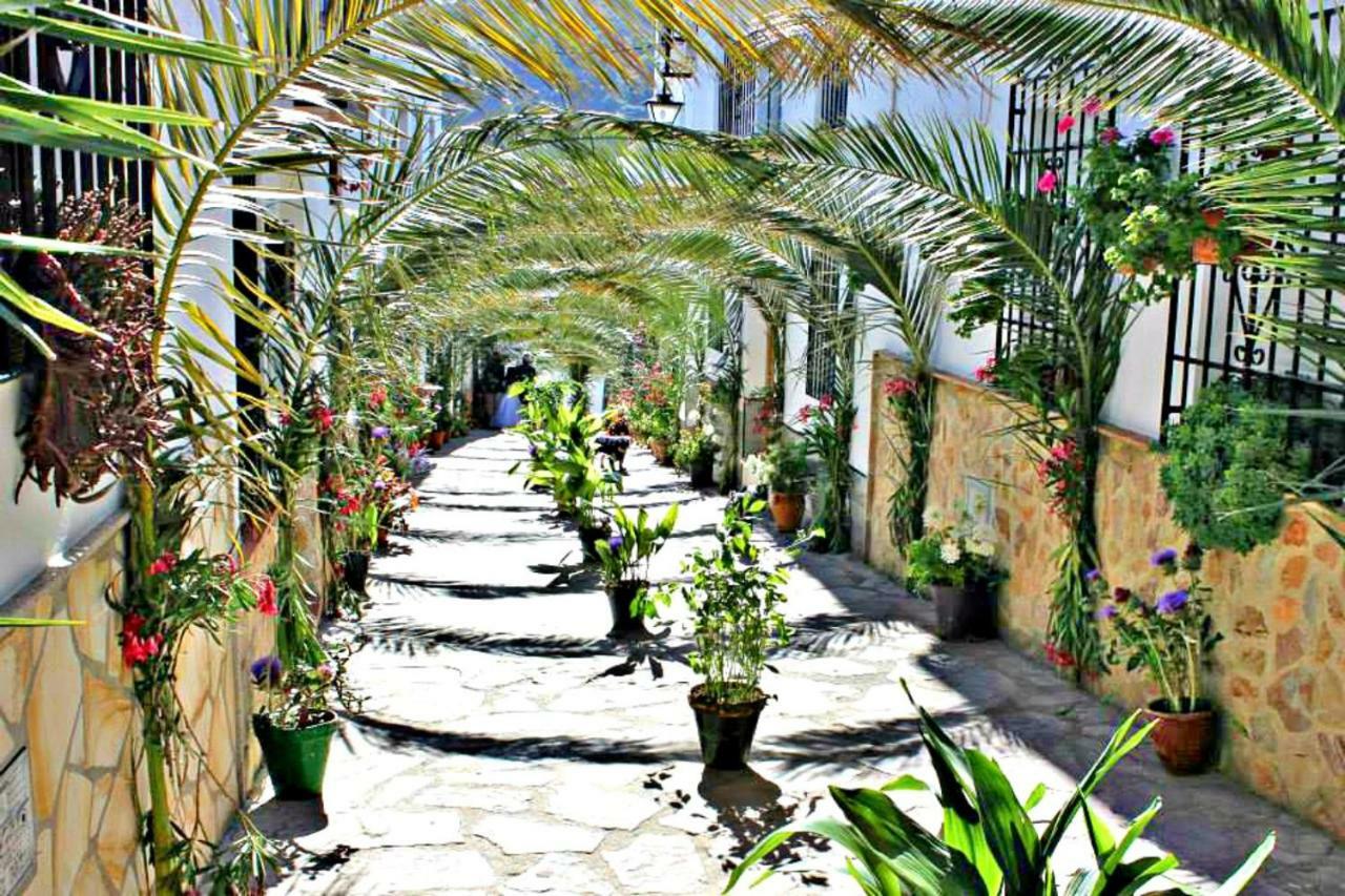 Casas Rurales Los Algarrobales El Gastor Exterior foto